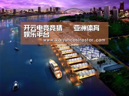 案例展示八