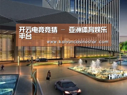 案例展示二